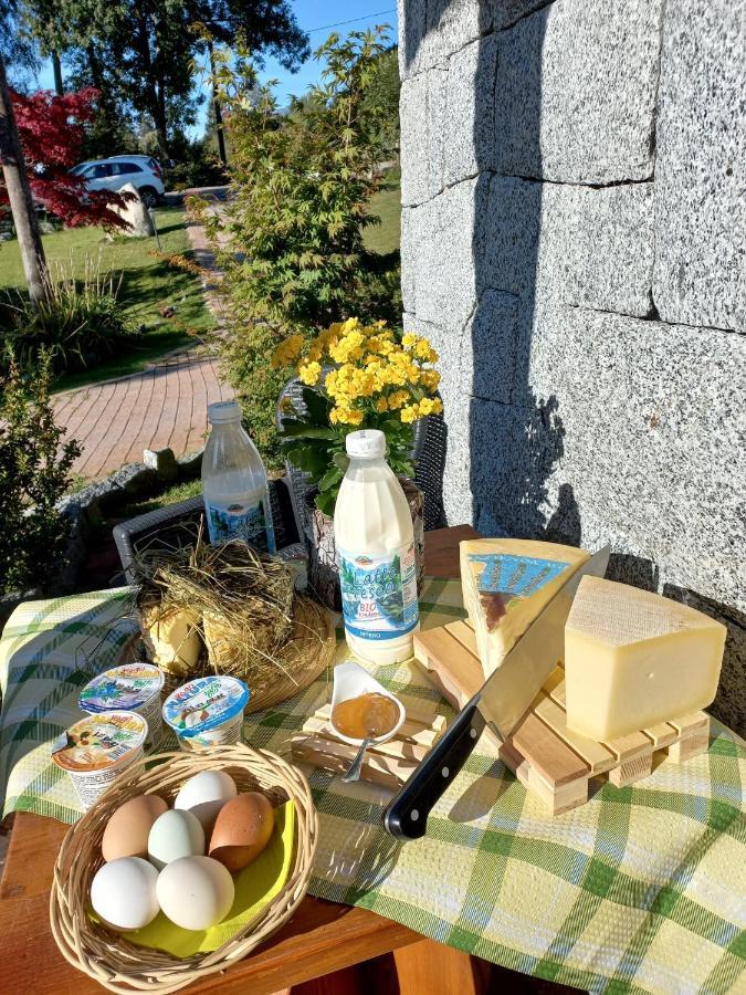 Bed and Breakfast Maso Pin Madonna Exterior foto